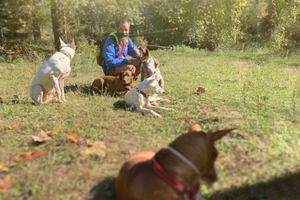 Asesoramiento adopciones – 4 x 200€  caducidad 2 meses